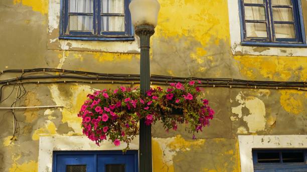 istock architecture from portugal 1060217160