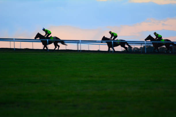 newmarket warren hill gallops - equestrian event flat racing horse racing people zdjęcia i obrazy z banku zdjęć