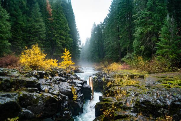 istock Rogue River flowing through Farewell Bend Campground 1060220610