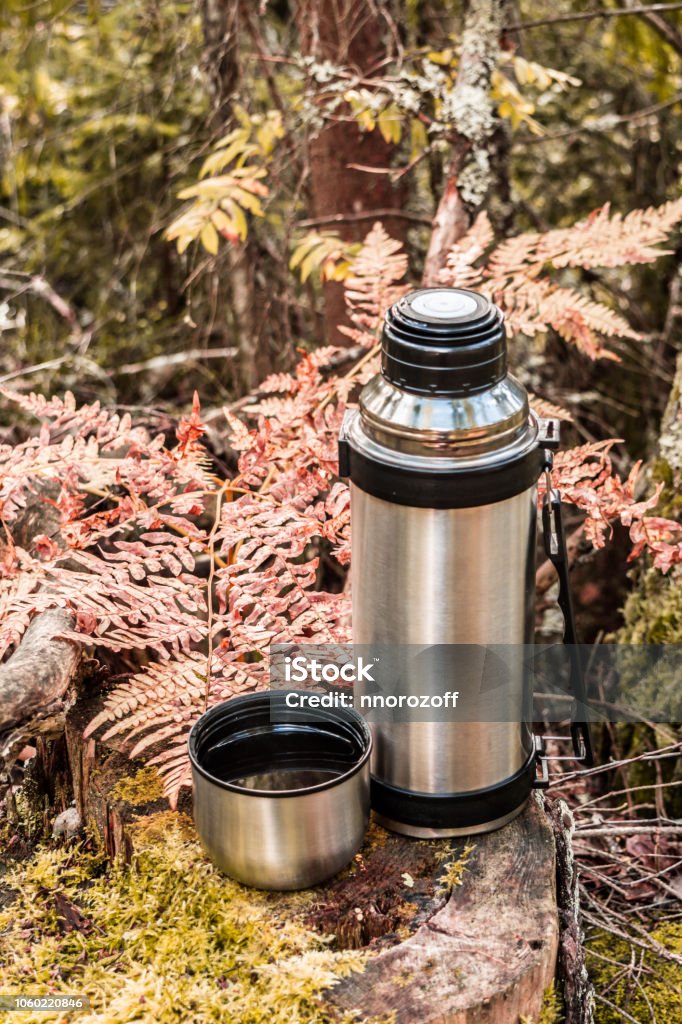 Steel Thermos With A Cup Of Hot Tee Standing On Old Stump In