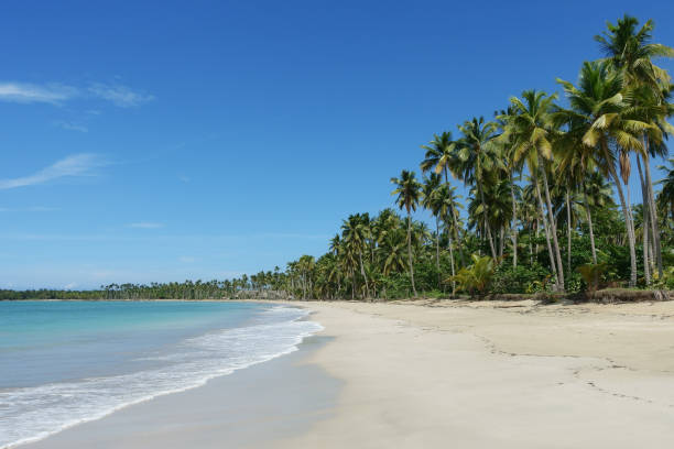 istock Natural beach, Dominican Republic 1060224480
