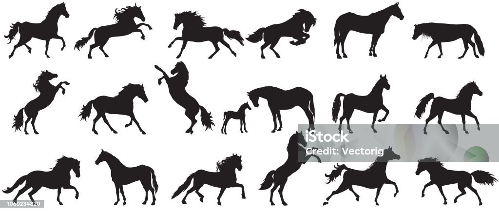 Silueta de caballo - arte vectorial de Caballo - Familia del caballo libre de derechos