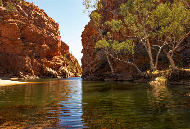 ellery creek big hole - ellery creek photos et images de collection