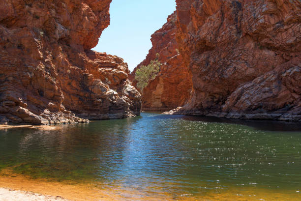 ellery creek big hole - ellery creek photos et images de collection