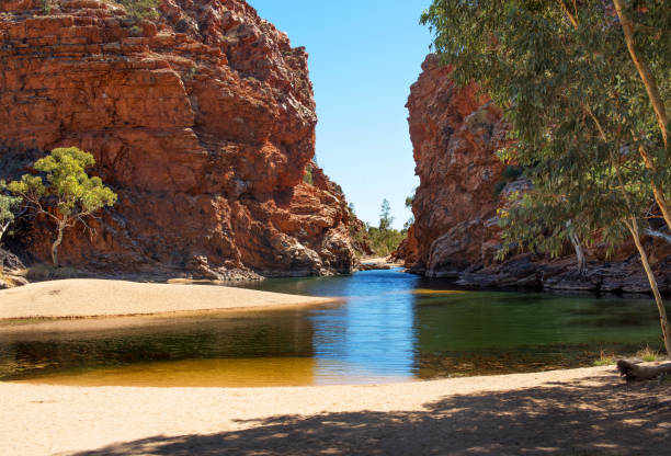 엘러리 크릭 큰 구멍 - alice springs australia northern territory outback 뉴스 사진 이미지