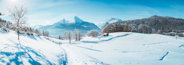 cenário de país das maravilhas do inverno com trilha nos alpes - mountain austria street footpath - fotografias e filmes do acervo