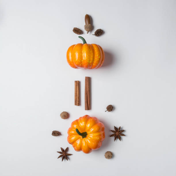 istock Creative layout of colorful pumpkins on white background. Autumn 1060247468