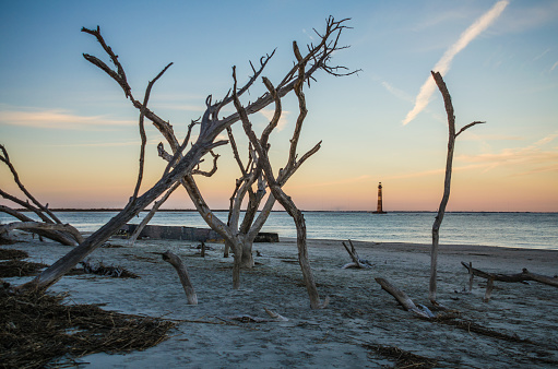Morris Island Lighthouse in the distance, framed by bare trees at sunset, located in Folly Beach South Carolina.