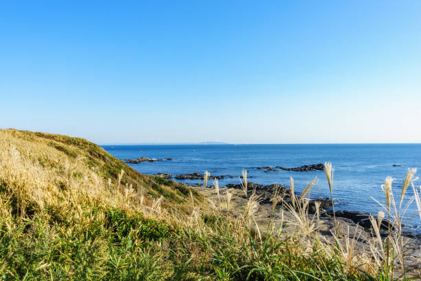istock Jyogashima Island, Kanagawa-pref. 1060319454