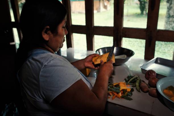 地元の部族女性彼女の熱帯雨林の家で伝統的な料理の野菜の準備 - wood fire oven ストックフォトと画像