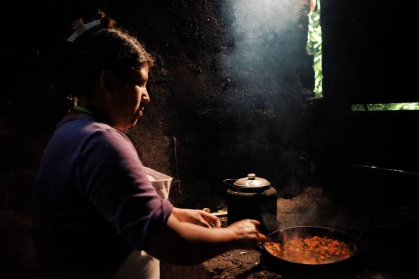 彼女の熱帯雨林のホームで伝統的な料理を地元の部族女性 - wood fire oven ストックフォトと画像