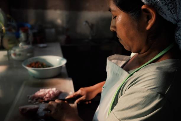 地元の部族女性彼女の熱帯雨林の家で伝統的な食品を準備します。 - wood fire oven ストックフォトと画像