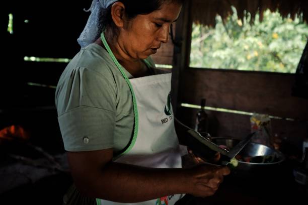 地元の部族女性彼女の熱帯雨林の家で伝統的な食品を準備します。 - wood fire oven ストックフォトと画像
