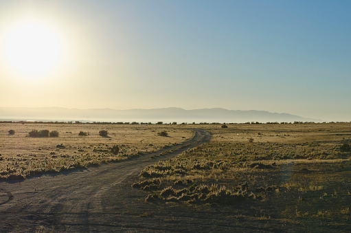 A view of the dry desert grassland of the bending dirt road on the basin in the sunlight.
