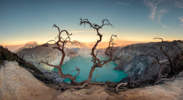 istock Dried tree on active volcano crater with turquoise lake at dawn 1060344994
