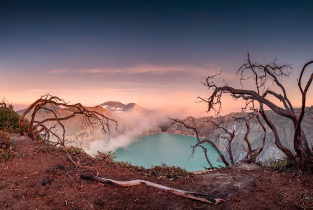 istock Dried tree on active volcano crater with turquoise lake at dawn 1060345000