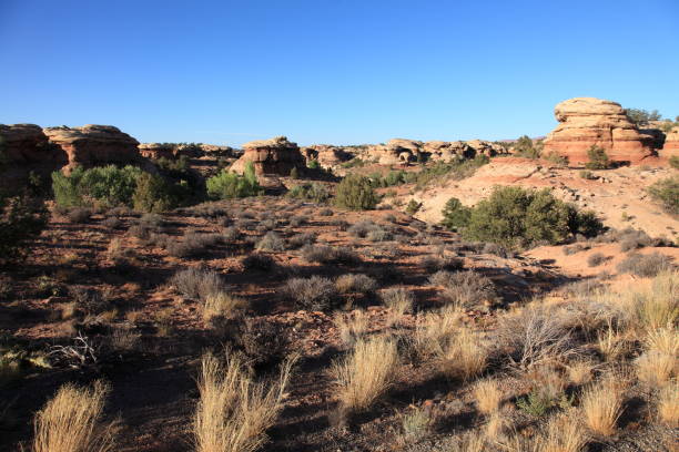 istock The Needles in Canyonlands National Park Utah 1060346322