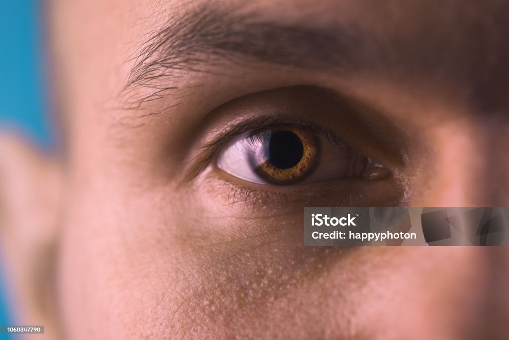 Brown eye. Part of a male face. Focus on pupil. Brown eye. Part of a male face. Focus on pupil Pupil - Eye Stock Photo