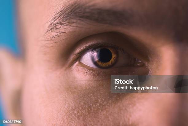 Brown Eye Part Of A Male Face Focus On Pupil Stock Photo - Download Image Now - Pupil - Eye, Large, Eye