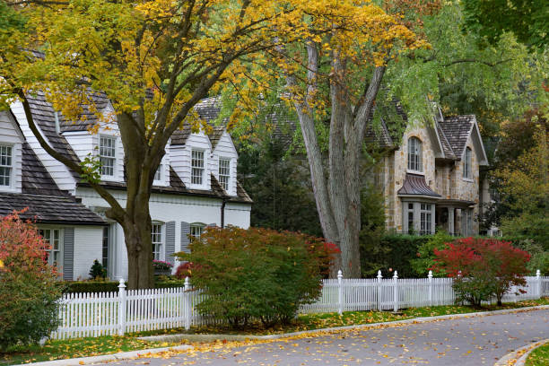 calle residencial con árboles maduros y el color de otoño - tree area fotografías e imágenes de stock
