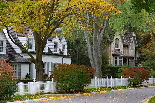 residential street  with mature trees and fall color