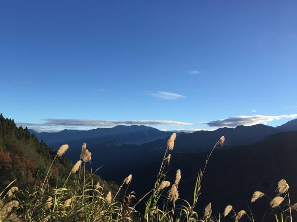 atemberaubende aussicht bei sonnenschein auf dem höchsten berg in taiwan - 123rf stock-fotos und bilder