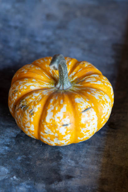 Pumpkin-Stock image