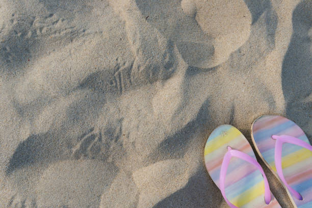 istock pair of slippers on sand 1060356116