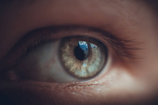 istock eye girl closeup 1060368316