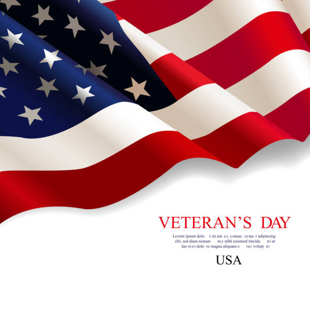 dzień weteranów. flaga usa - us veterans day stock illustrations