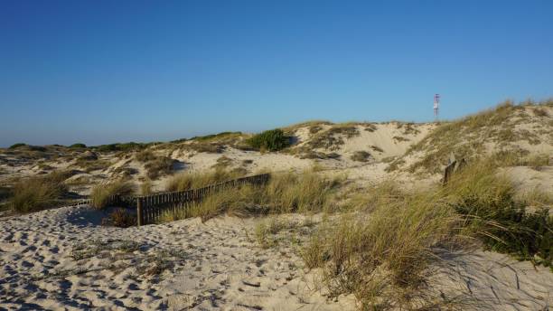 istock portugal landscape in autumn 1060372088