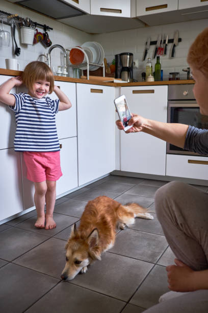 mała dziewczynka pozuje ze swoim uroczym psem, podczas gdy mama robi zdjęcie na swoim smartfonie. - child house dog bed zdjęcia i obrazy z banku zdjęć