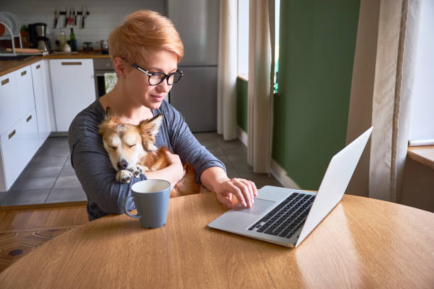 A young attractive woman hugs her dog while working at home at the laptop. stock photo