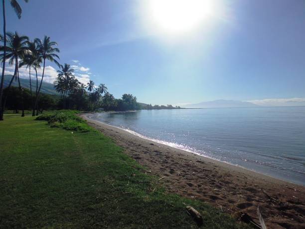 uma praia alii (molokai) - molokai - fotografias e filmes do acervo