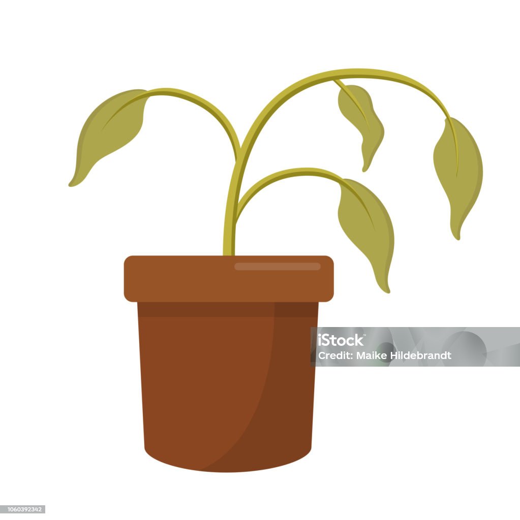 dying dry dead houseplant in a plant pot flat design icon isolated on white background Dead Plant stock vector