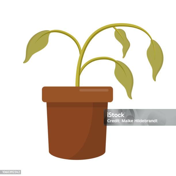 Dying Dry Dead Houseplant In A Plant Pot Flat Design Icon Isolated On White Background Stock Illustration - Download Image Now