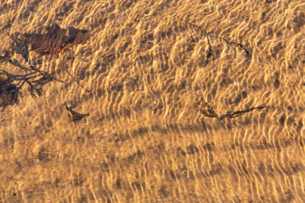 Beautiful sunlit small waves of shallow clear water on the smooth sand stock photo