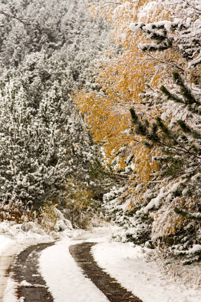 istock the first autumn snow in Bordes de Envalira, Canillo, Andorra 1060402502