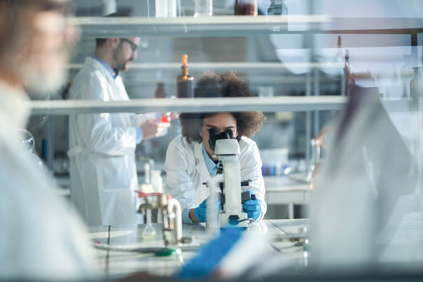 african american scientist looking through microscope while working in laboratory with her colleagues. - microscope view imagens e fotografias de stock