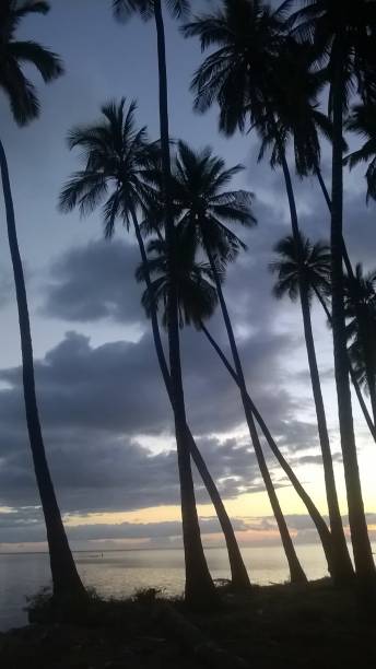 istock Coconut Grove sunset in Molokai 1060407274