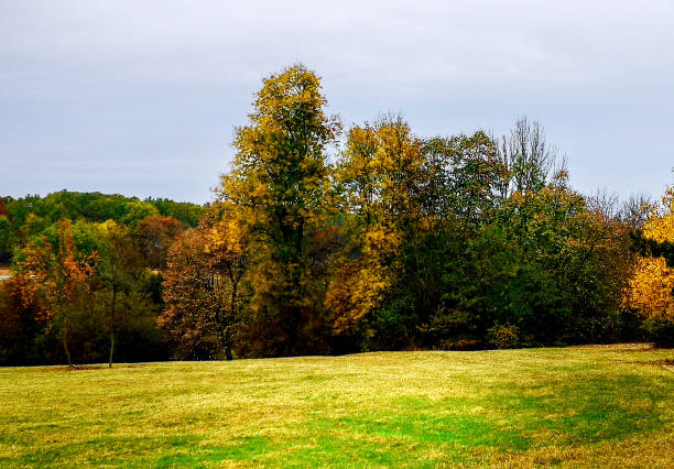 istock Autumn landscape in the park 1060408880