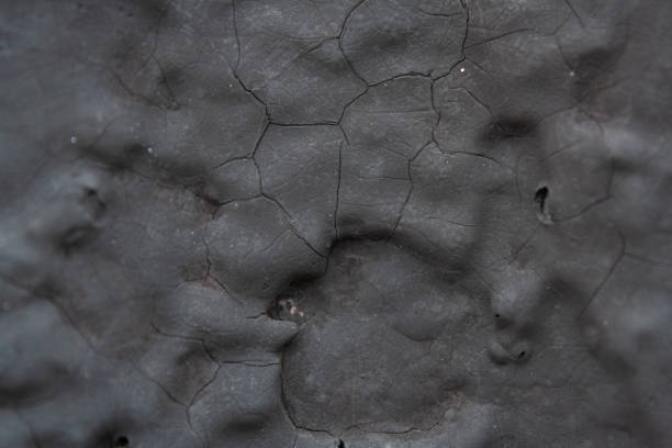 istock Cracked Black paint on wall with shall 1060409974