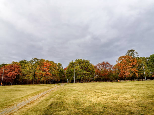 istock Autumn landscape in the park 1060410576