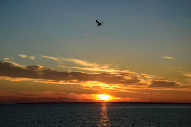 istock colorful dramatic sunrise in the sea. view from ferry 1060414030