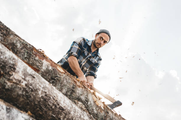 istock Brutal lumberjack cuts forest with sharp ax, chips scatter in different directions 1060418050