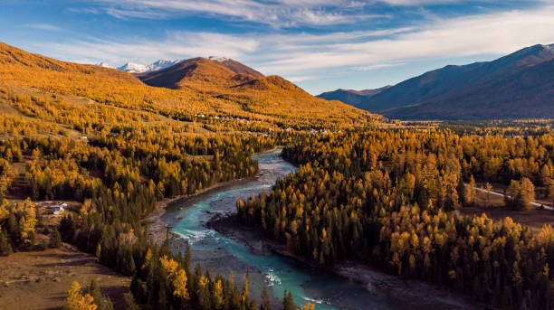 istock Kanas scenic area in autumn 1060421446