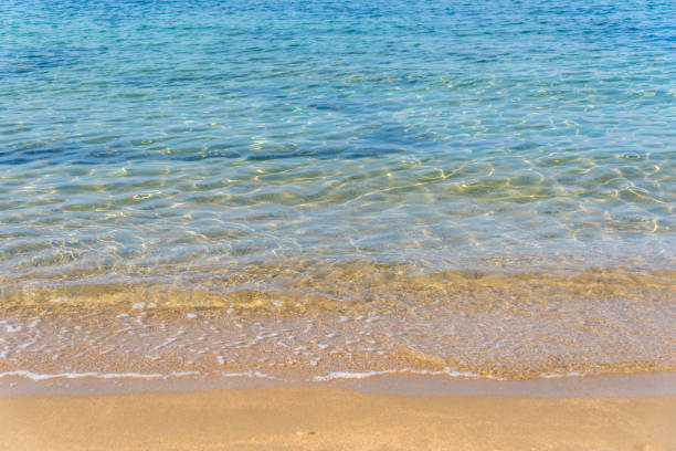 background image of sandy beach and ocean waves with bright bokeh lights