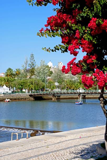 istock View of the River Gilao, Tavira. 1060423508