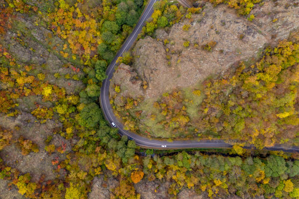 istock An Aerial Road Trip - forest with curved road 1060426256
