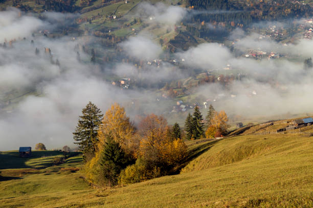 istock Foggy morning in Bucovina 1060432996